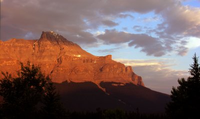DSCN4630a.jpg