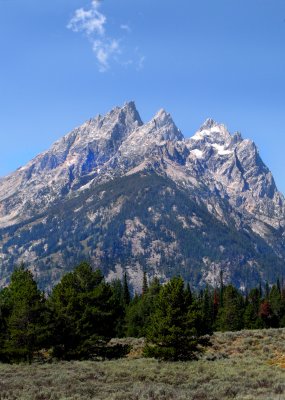 IMG_0716a.jpg