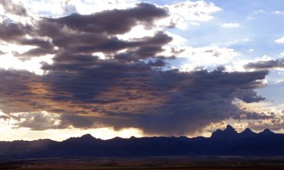 IMG_1240d.jpg