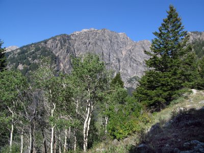 IMG_1213a.jpg