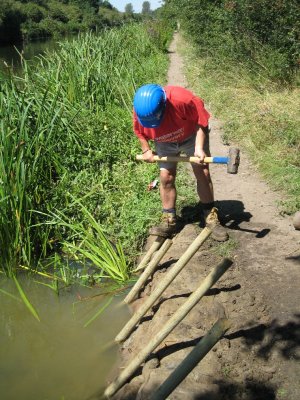 Paul installing stakes