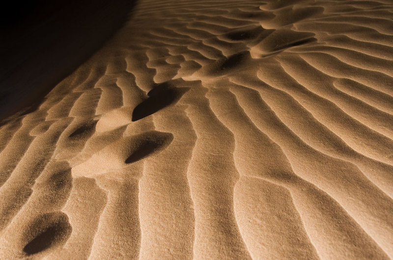 Tracks, Sossusvlei