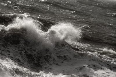 storm force :: west bay