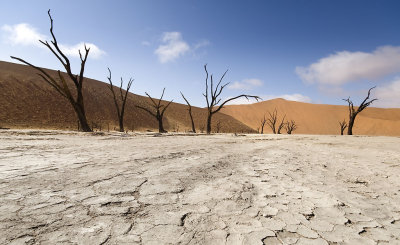 Dead Vlei, Sossusvlei