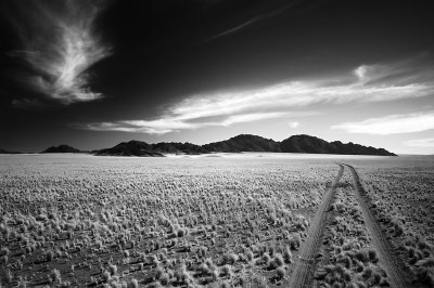Long road<br/>Namib Rand National Park