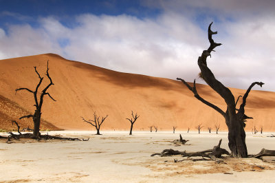 Dead Vlei