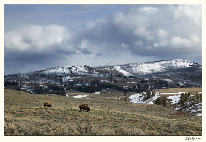 Yellowstone 07-APR12-0117.jpg