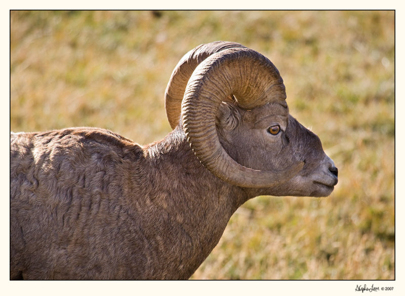 20071007_Kananaskis_0014.jpg