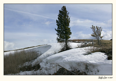 Yellowstone 07-APR12-0114.jpg