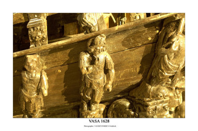 Muse Vasa