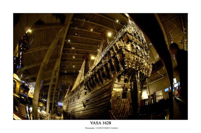 Muse Vasa