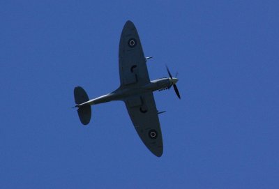 Spitfire