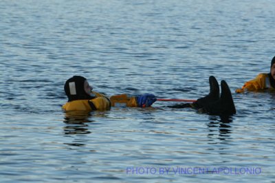 car in water 037.jpg
