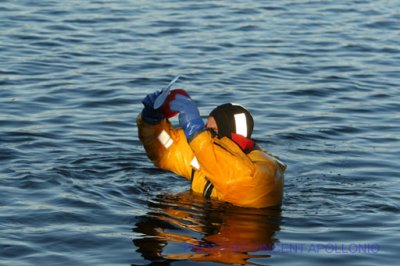 car in water 097.jpg