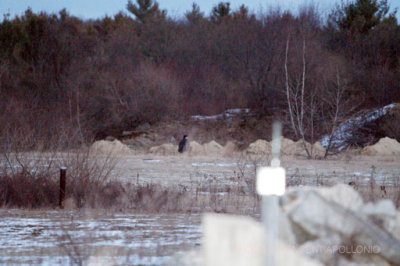 Leo.Hazmat Transfer Station 031.jpg