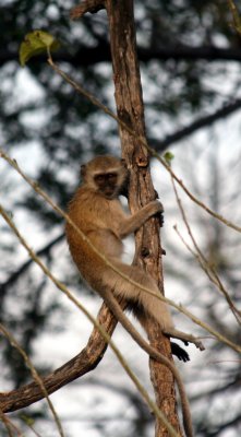 IMG_3442a.JPG