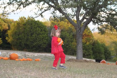 pumpkin2.jpg