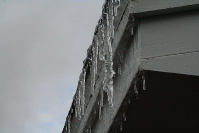 IMG_1144_1.jpg