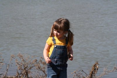 IMG_1216_1.jpg