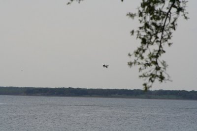 camping 0307 (16).jpg