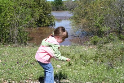 IMG_1387_1.jpg