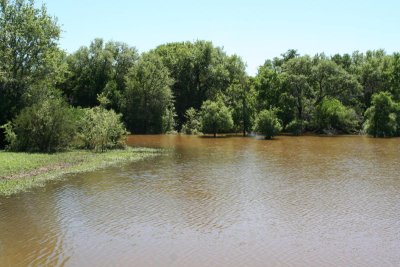 IMG_1411_1.jpg