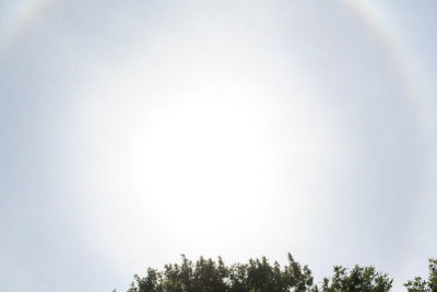 solar_halo