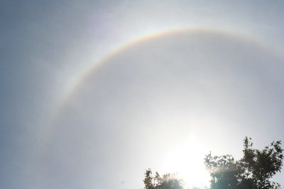 IMG_2023.jpg