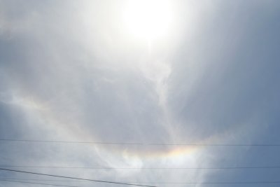 IMG_2029.jpg