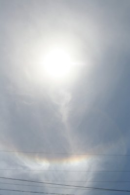 IMG_2031.jpg