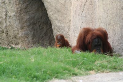 IMG_2217_1.jpg