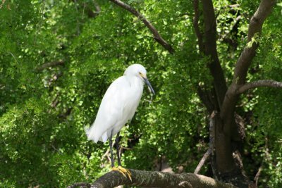 IMG_2225_1.jpg