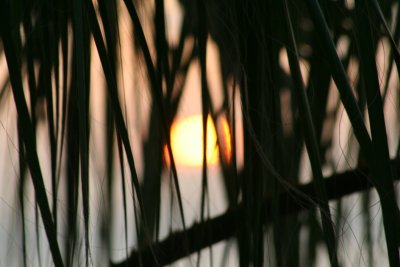 IMG_2312_1.jpg