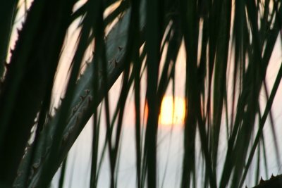 IMG_2313_1.jpg