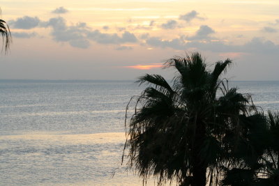 IMG_2316_1.jpg