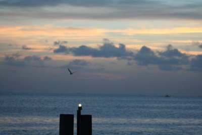 IMG_2324_1.jpg