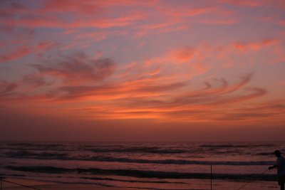 IMG_2363_1.jpg