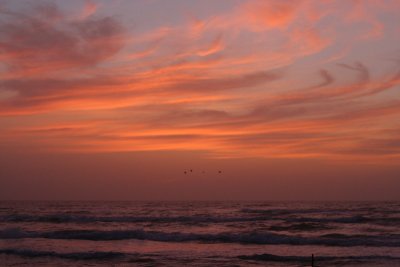 IMG_2364_1.jpg