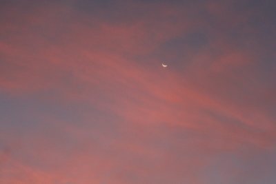 IMG_2365_1.jpg