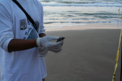 IMG_2370_1.jpg