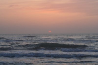 IMG_2372_1.jpg