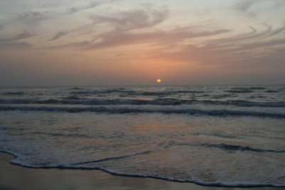 IMG_2374_1.jpg