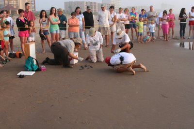 IMG_2375_1.jpg