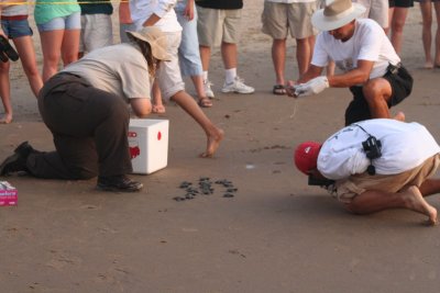 IMG_2376_1.jpg