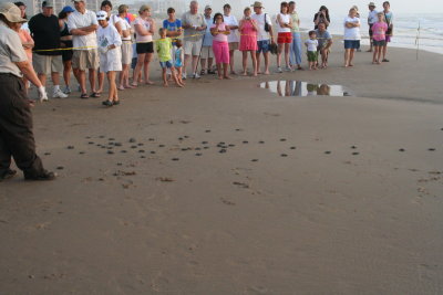 IMG_2380_1.jpg