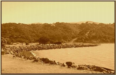 Marina Shoreline at Suisun Bay