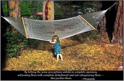 Purifying the Senses