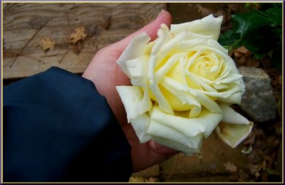 g6/79/738779/3/74181166.D11NtdCx.jpg