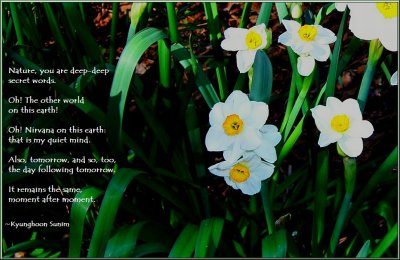 Secret Words