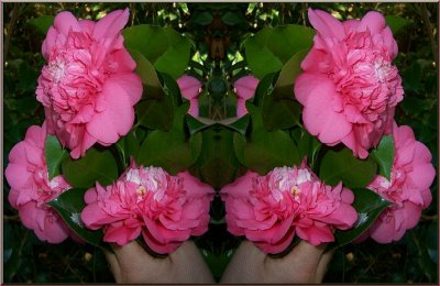 g6/79/738779/3/75795207.rTyXl8wJ.jpg